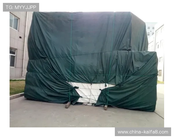 凯发娱乐手机登录安全措施，保障每一位玩家的账户信息安全